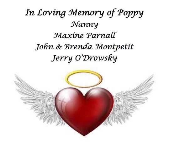 Family & Friends of Mason Goldie- In Loving Memory of Poppy