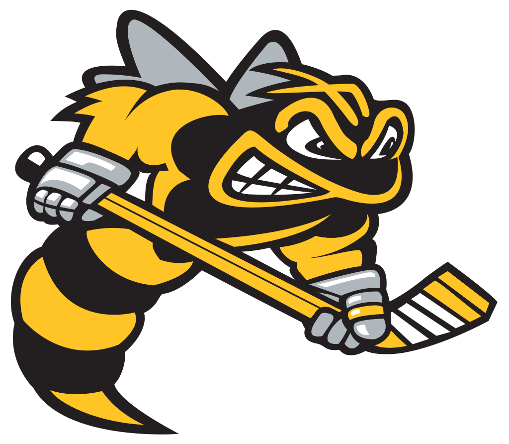 Sarnia Sting OHL