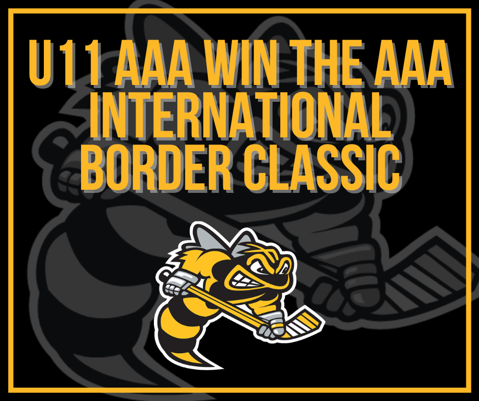 News > U11 Sarnia-Lambton Jr. Sting AAA Win the International Border ...