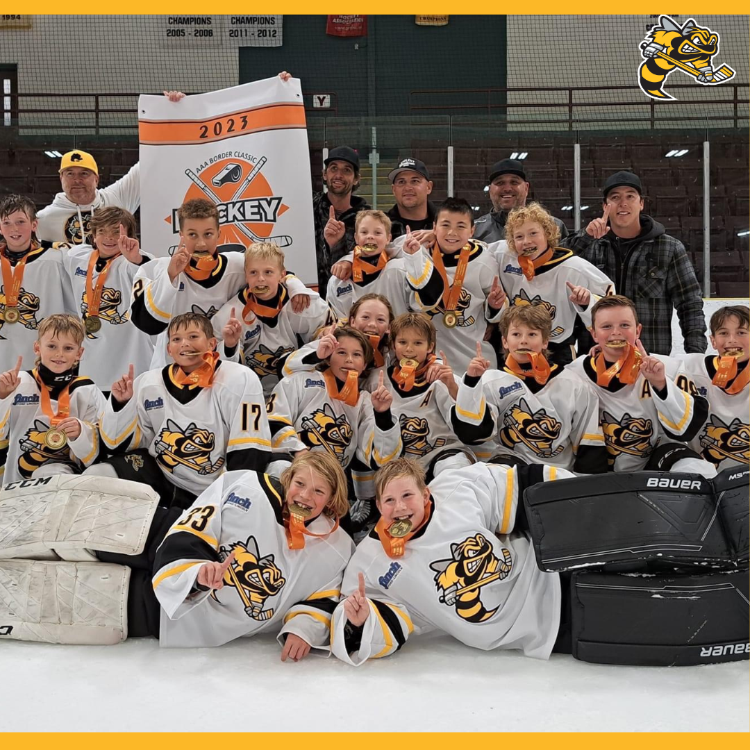 News > U11 Sarnia-Lambton Jr. Sting AAA Win the International Border ...