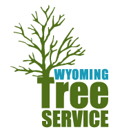 Wyoming Tree Service Ltd.