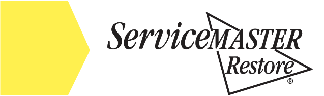 Service Master Restore